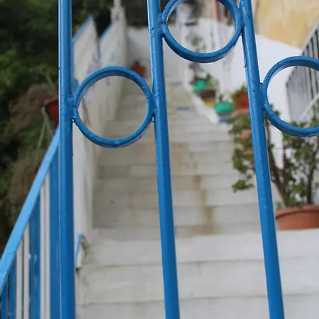Maya Guest house *